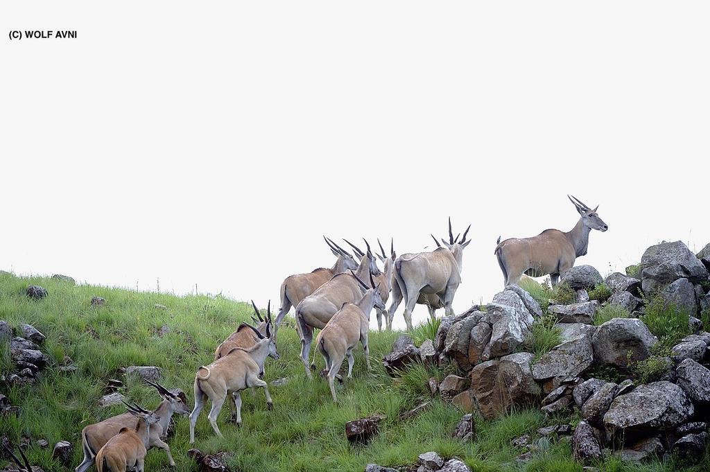 אונדרברג Giantscup Wilderness Reserve מראה חיצוני תמונה